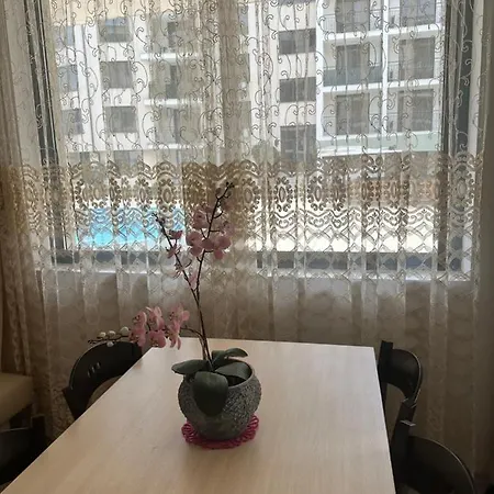 Avalon, C102 Солнечный берег