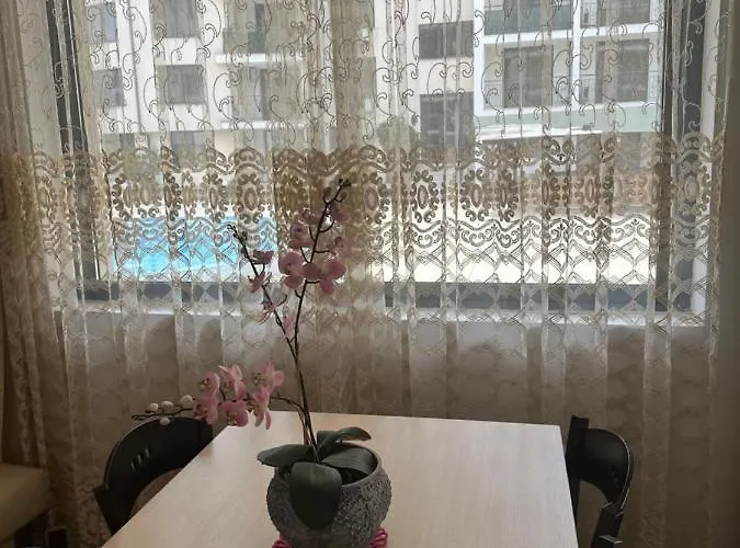 Avalon, C102 Слънчев бряг